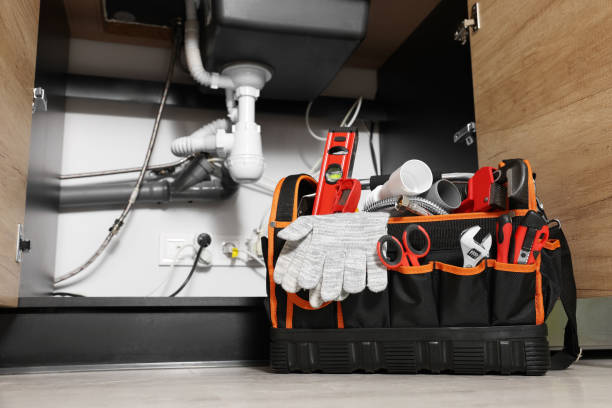 Best Same-Day Plumbing Service  in Albert Lea, MN