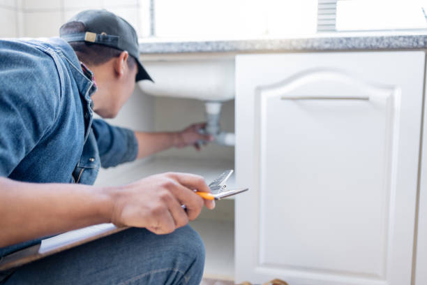 Best Affordable Plumbing Services  in Albert Lea, MN