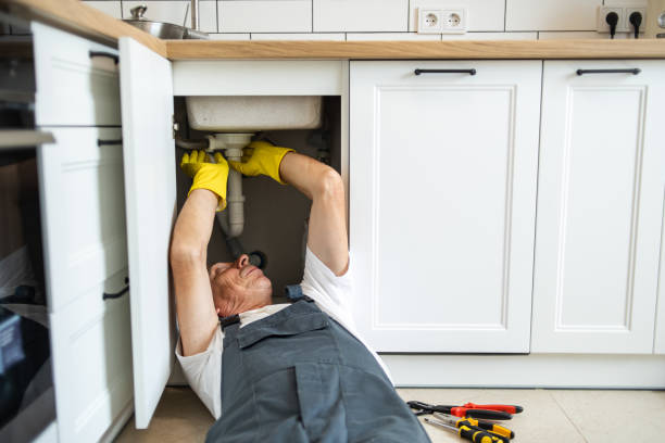 Best Same-Day Plumbing Service  in Albert Lea, MN