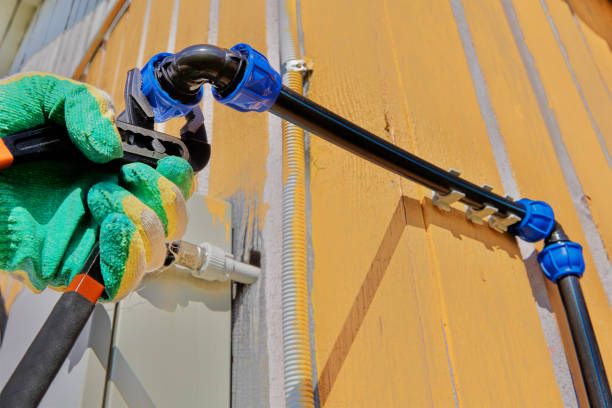 Best Affordable Plumbing Services  in Albert Lea, MN